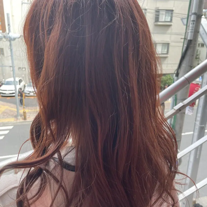 鈴木 悠華の掲載