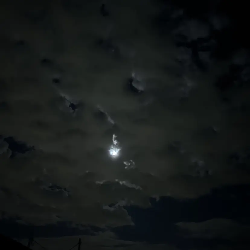 LUXIS watanabeの掲載