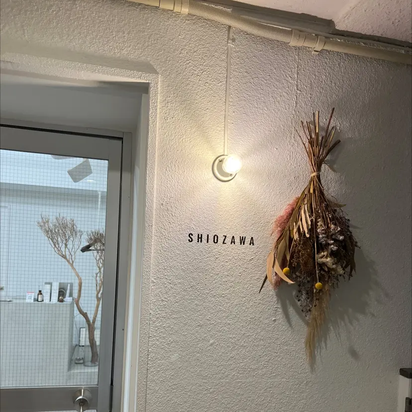 SHIOZAWA 細谷の掲載
