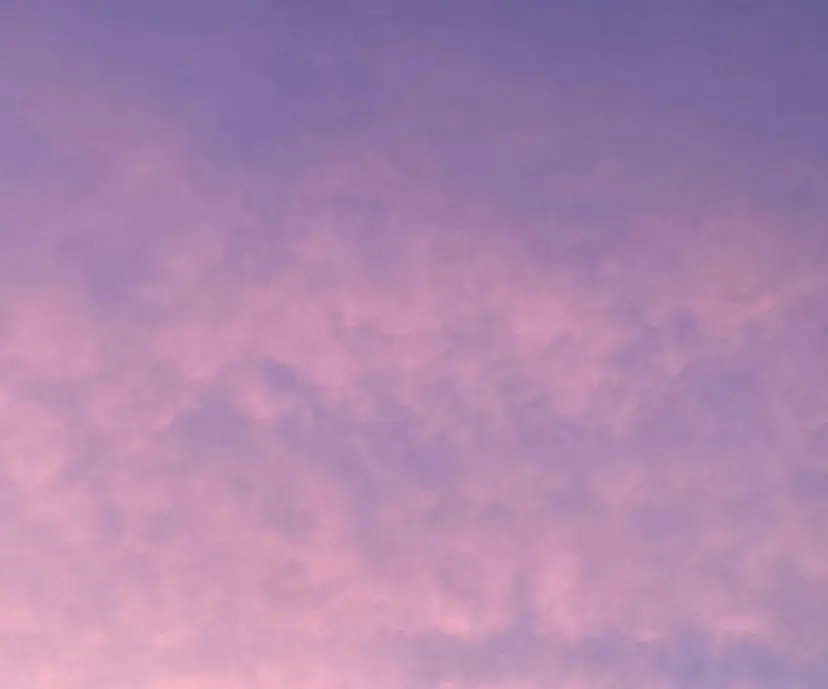 今井 詩織の掲載