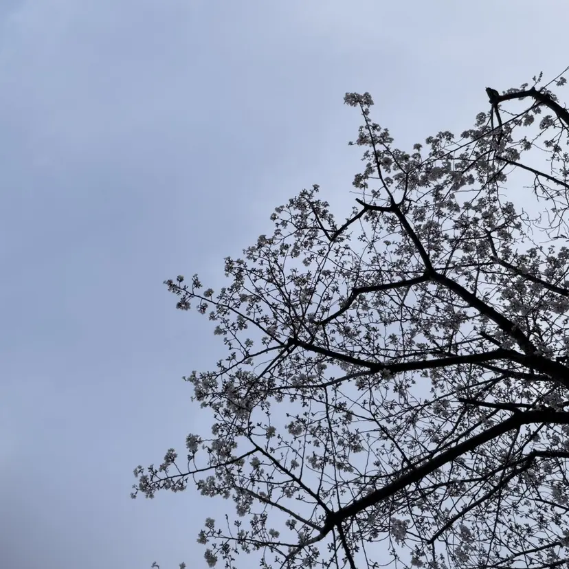 丸山 優心の掲載