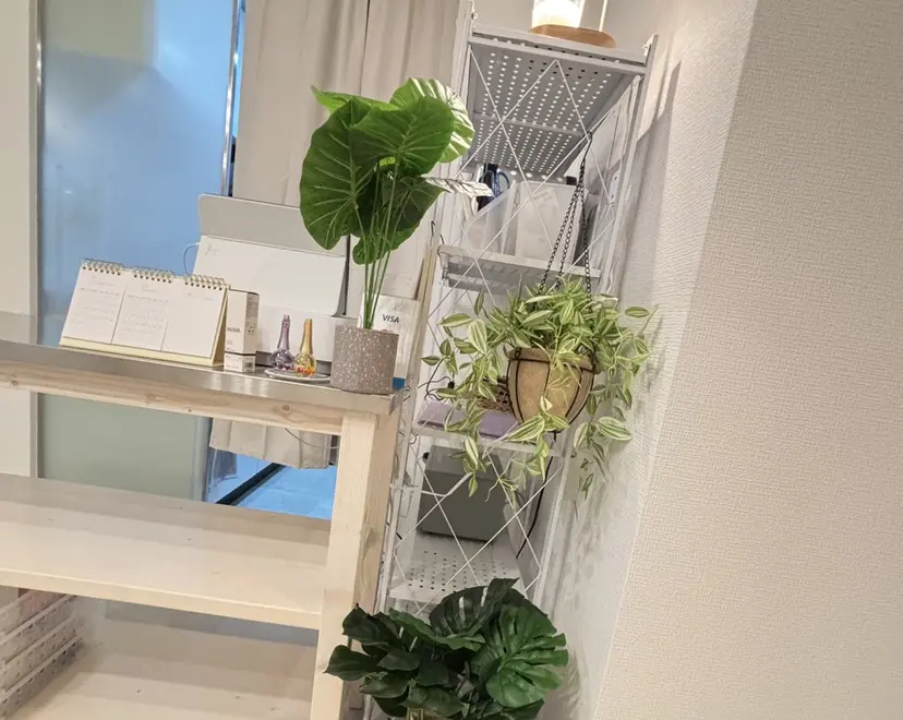 福山 千尋の掲載