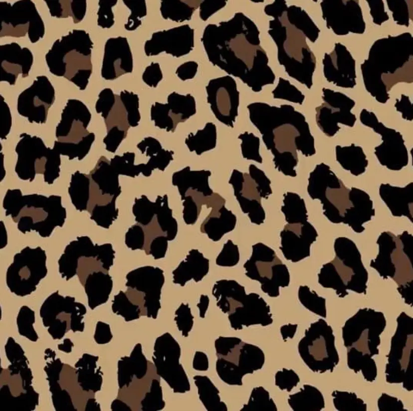 山口 珠莉の掲載