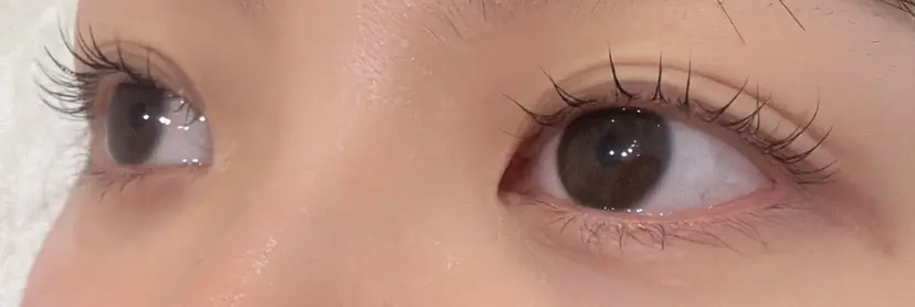 渡辺 明日香の掲載