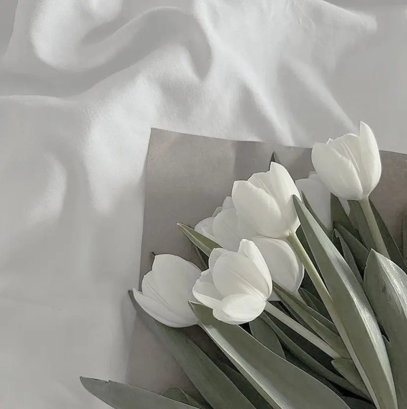 chihiro 🐰 🍭髪質改善/美髪の掲載