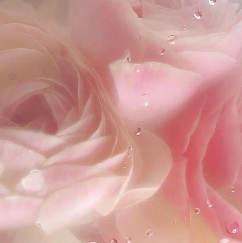 AILY🎀 minagiの掲載