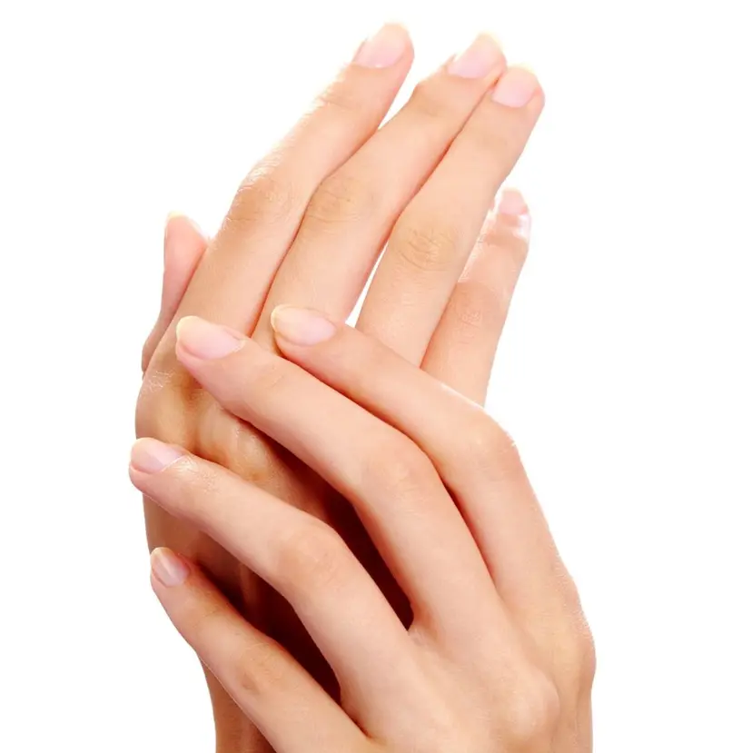 千葉 美咲の掲載