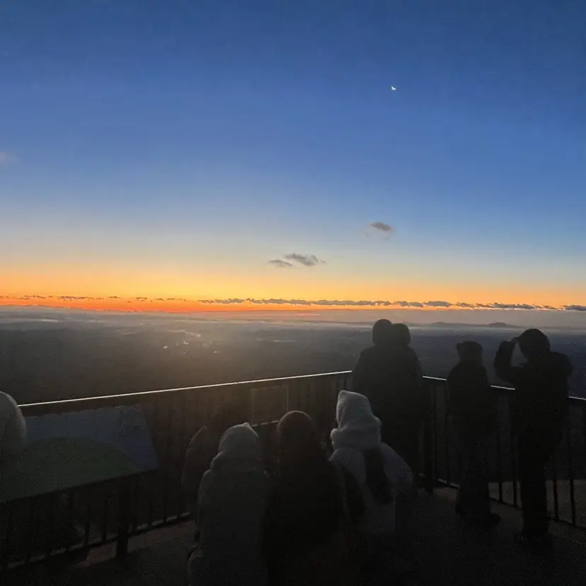 柴田 采音の掲載