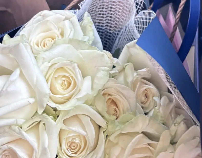 jessica🪽 yoshida🩰の掲載