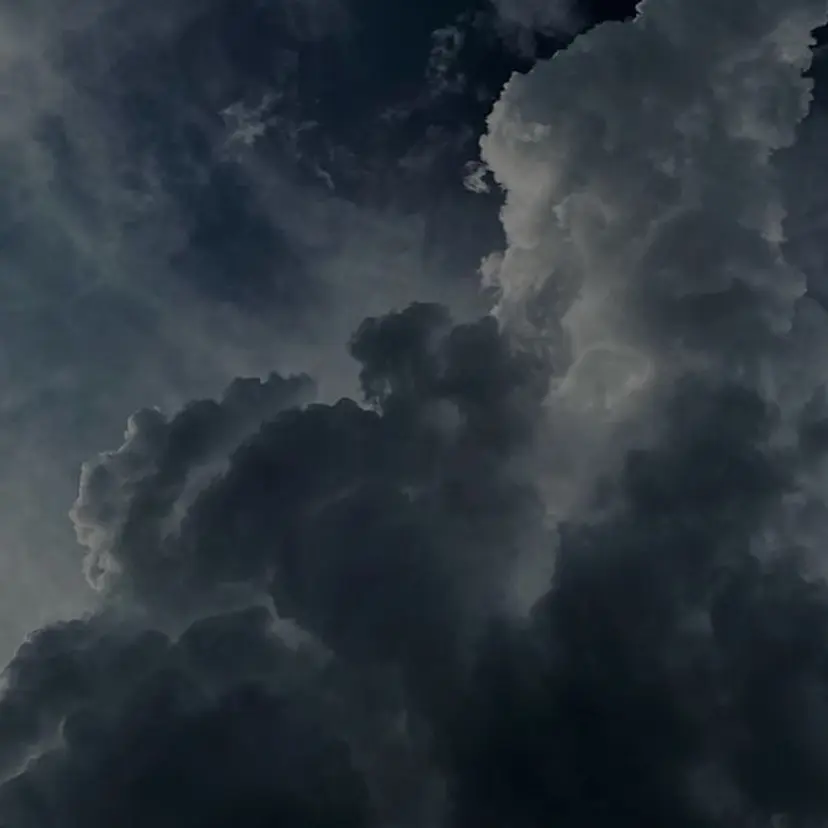 REMIA 🤍 nakaneの掲載