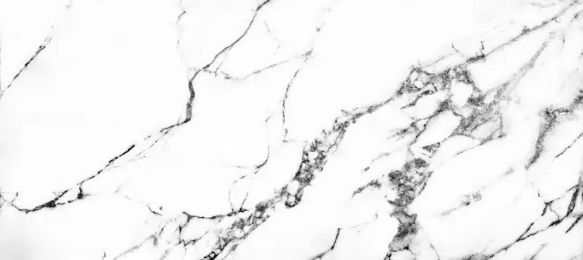 Bianca武蔵浦和 🤍若松の掲載