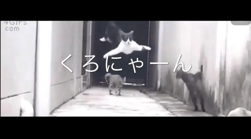 黒田恵里香ショート カットモデル募集中の掲載