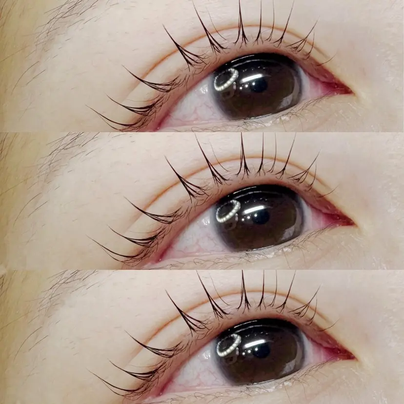 田村 美紗綺の掲載