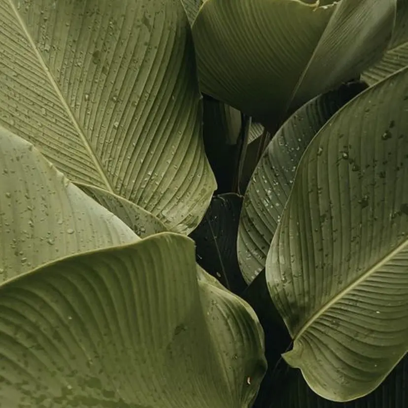 🌼LUVISM 長岡/酒井香奈🌼の掲載