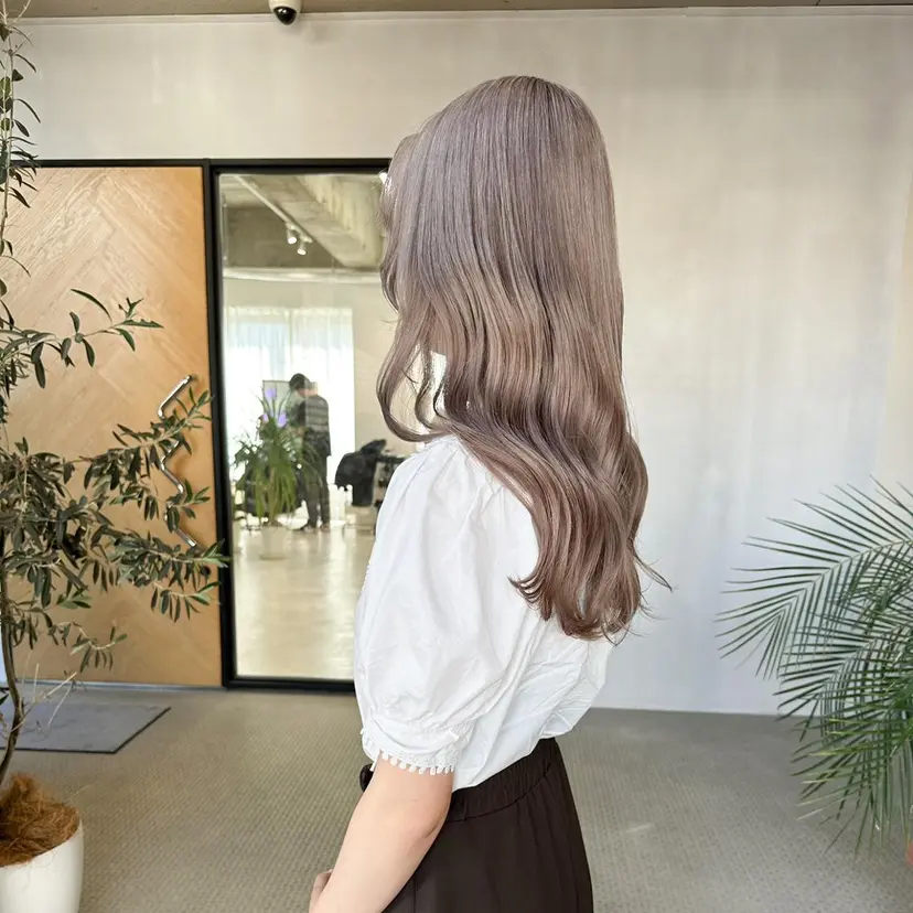 ヒラ マツの掲載