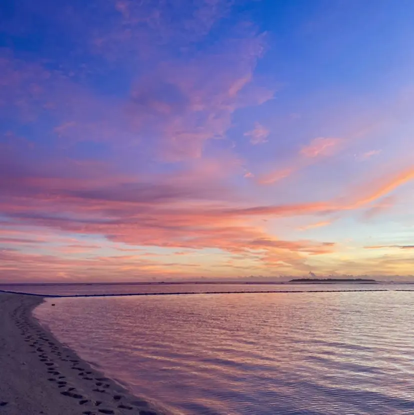 松井 美波の掲載