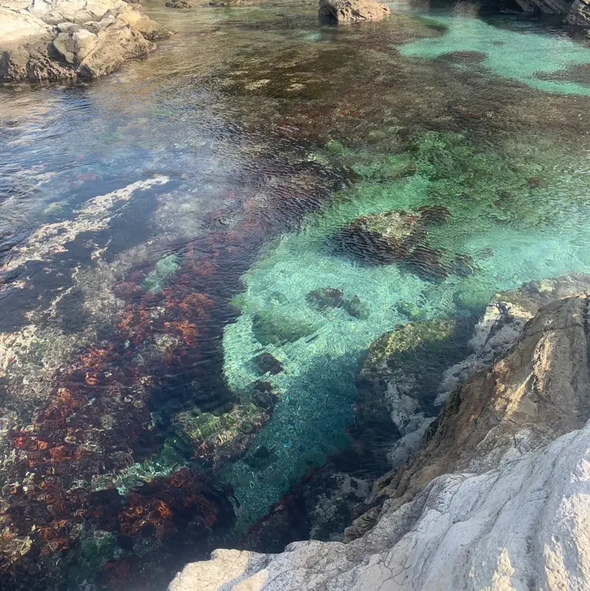 ひらい さなの掲載