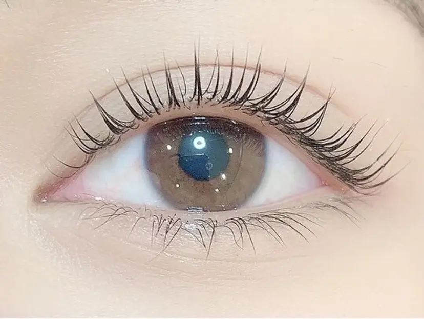 髙橋 胡桃の掲載