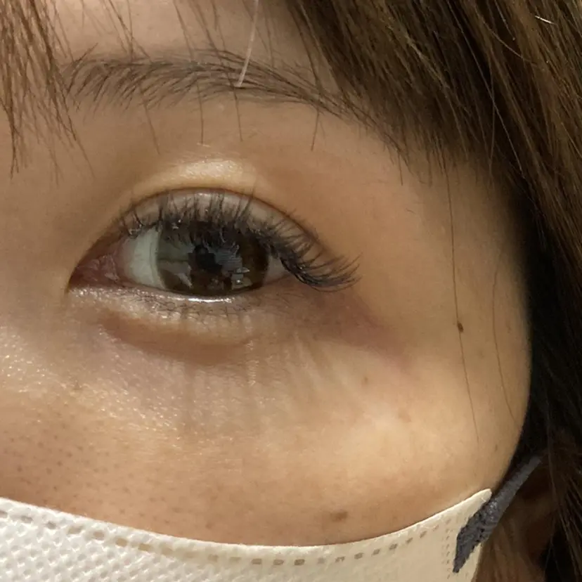 Wamiles luceの掲載