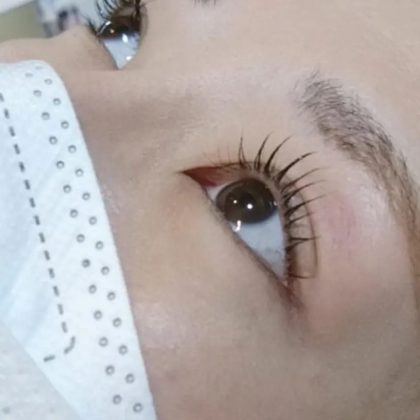 ambellir島村 久恵の掲載