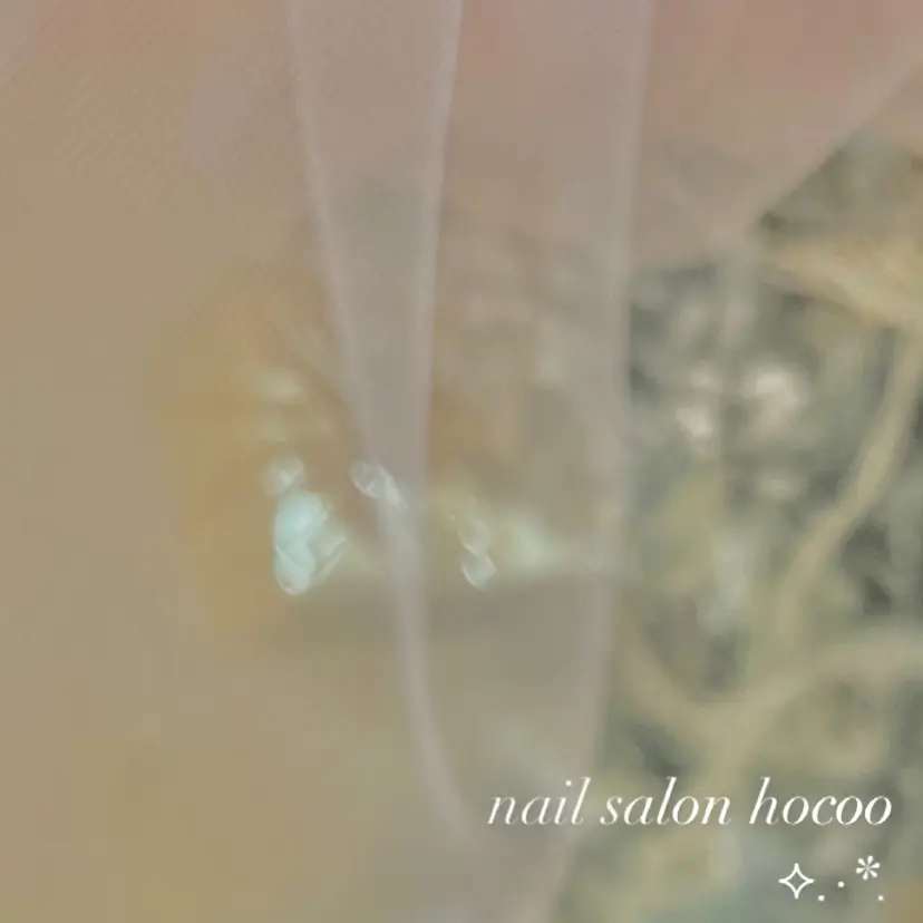 hocoo ホクの掲載