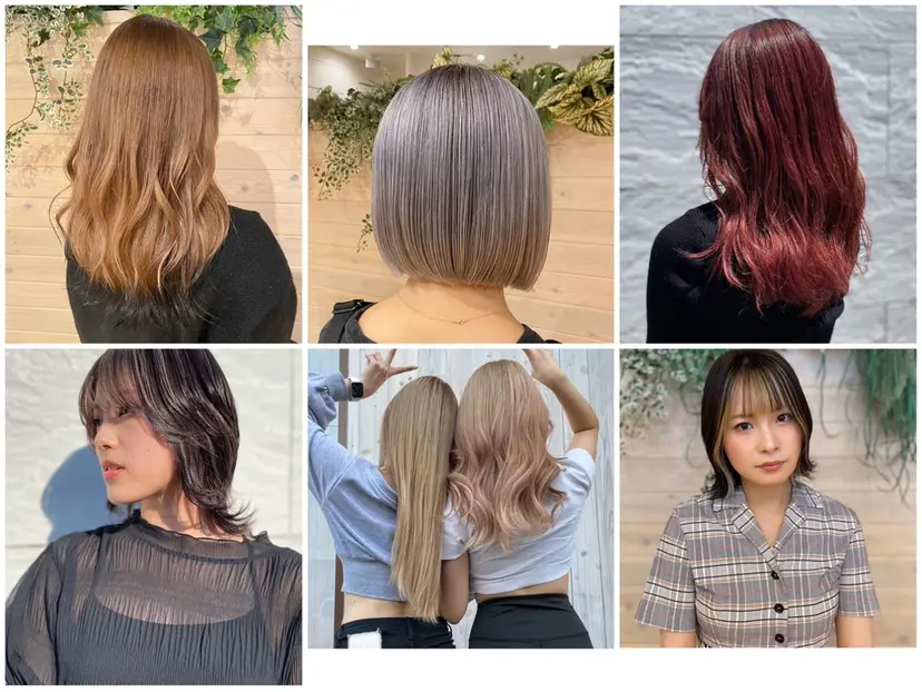 山西 真琴の掲載