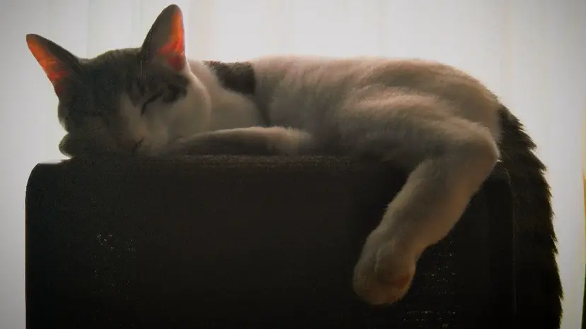 24h受付の髪質改善 とヘッドスパ┊︎髙橋の掲載