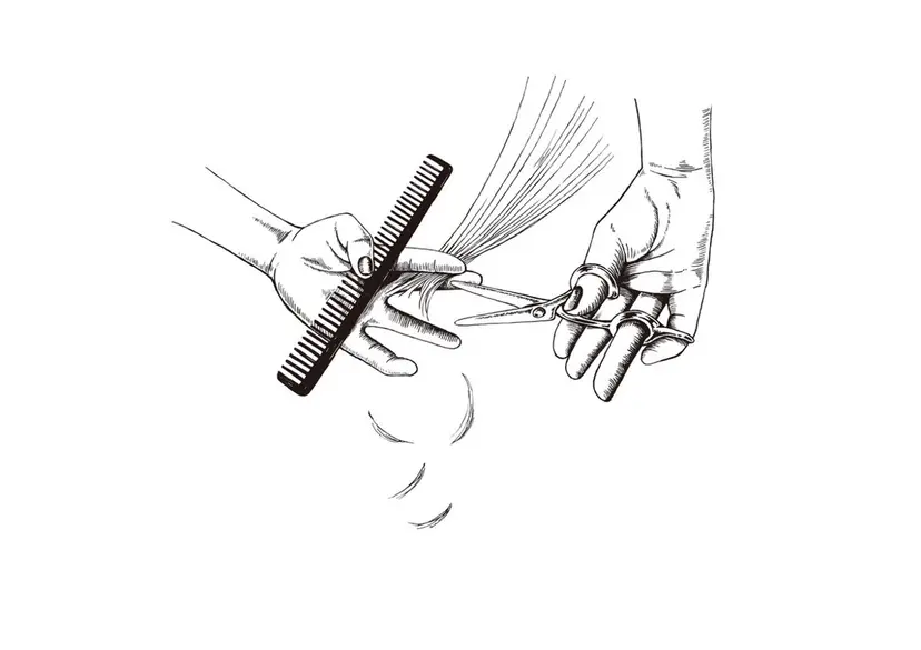 曽山 乙羽の掲載