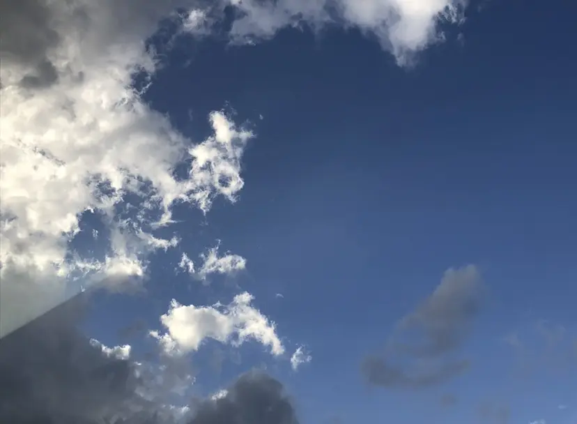 新規指名比率No.1 メンズパーマ/二村の掲載