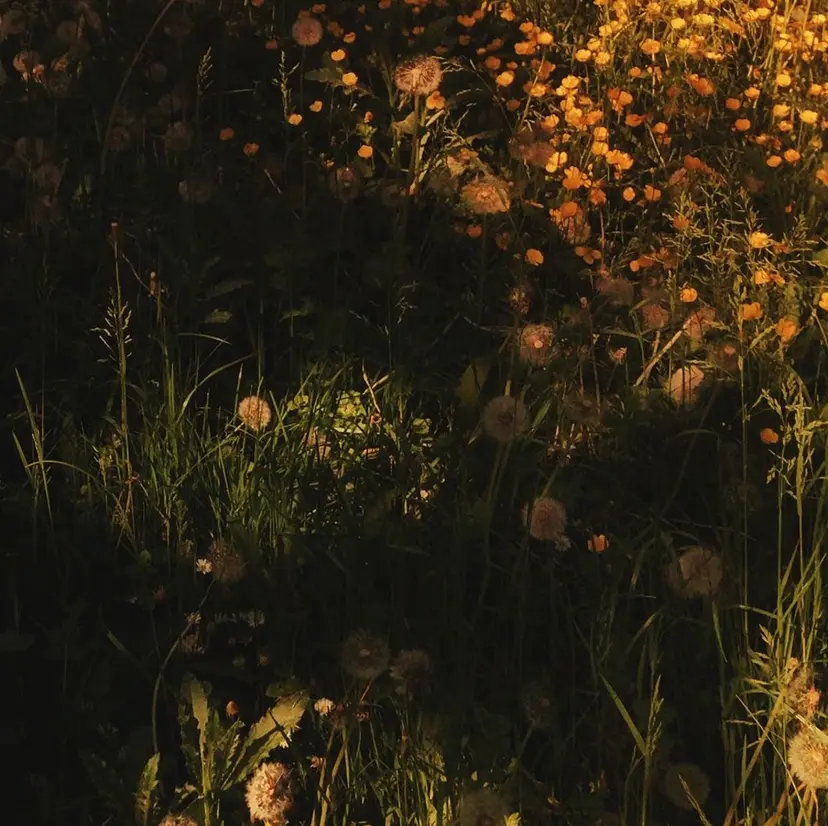 カラーモデル募集/ KOHGAの掲載