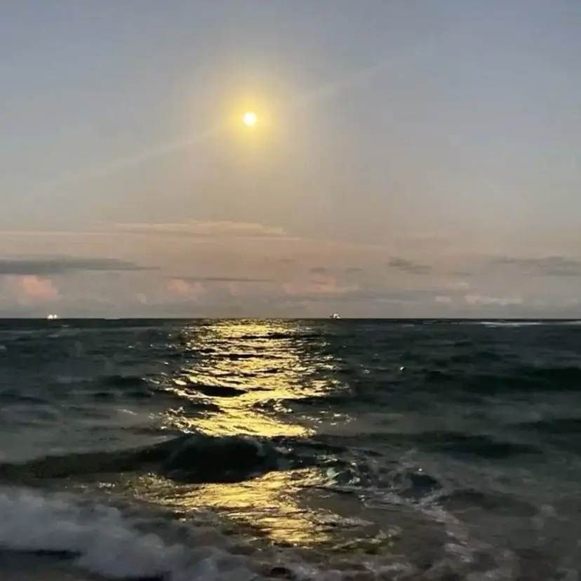 自然な白髪染め🌿 美髪/広尾美容室の掲載