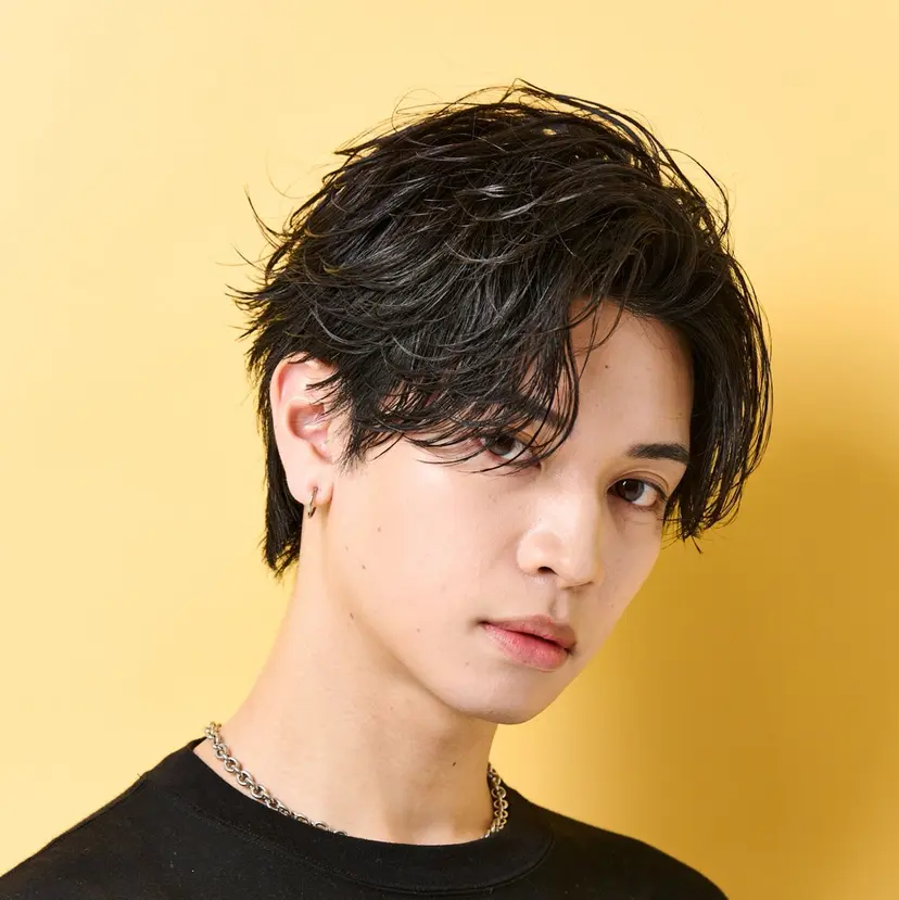 マタカ ミナリの掲載