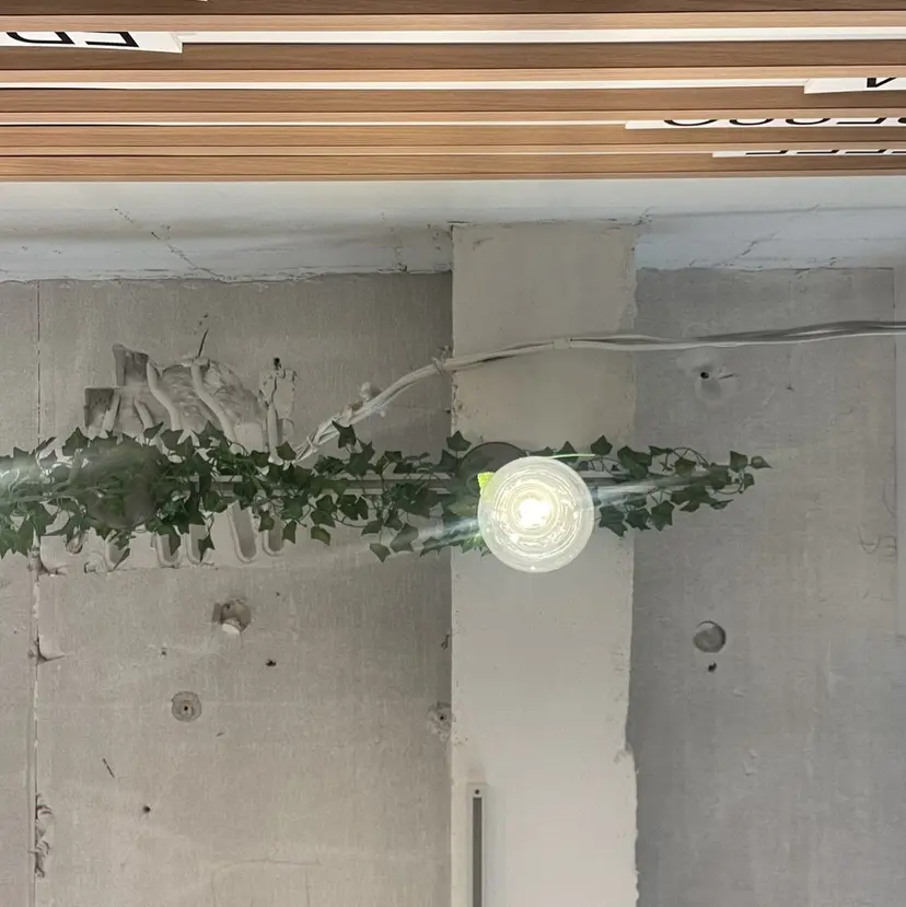 Ogata Marinaの掲載