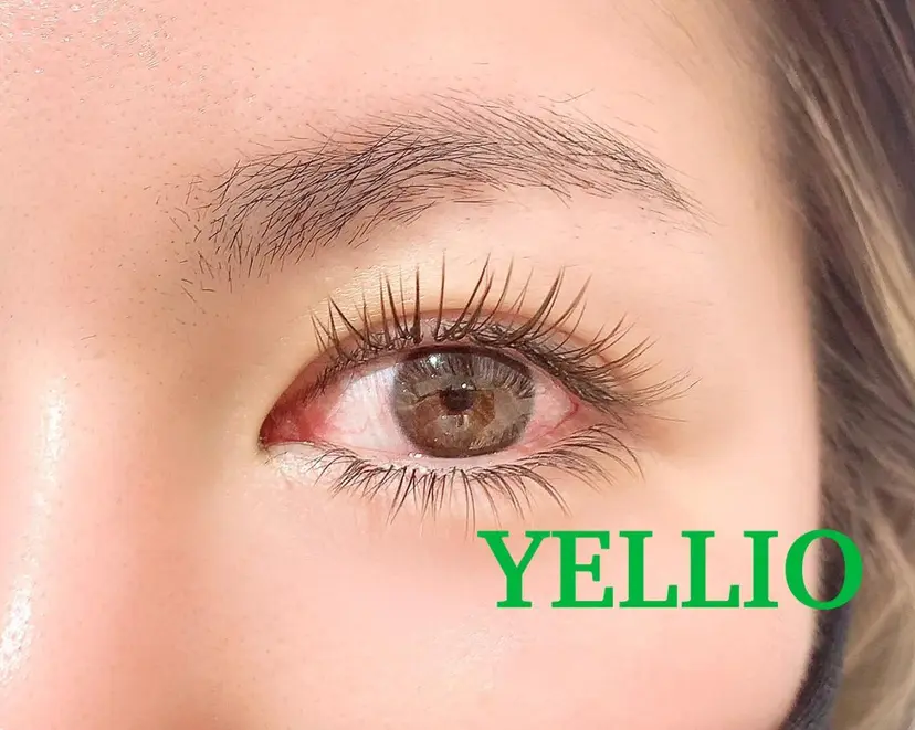 YELLIO (エーリオ)の掲載