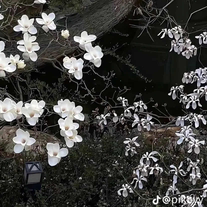 eyelist 優真の掲載