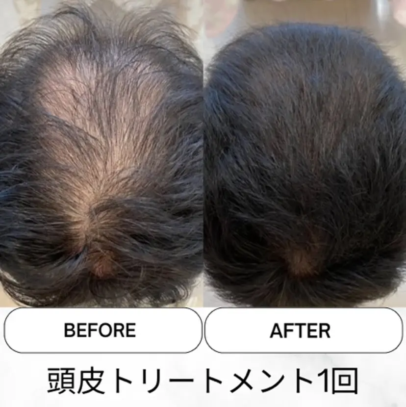 WARCH Marieの掲載