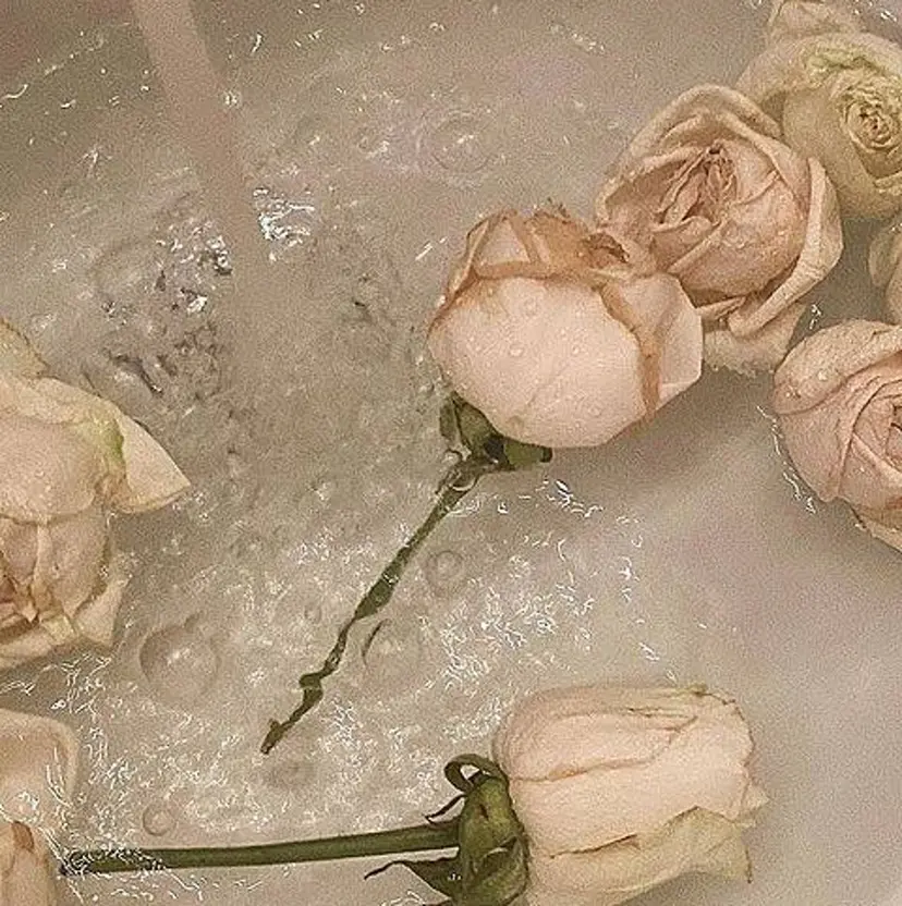 うたがわ るな🧸⸒⸒の掲載