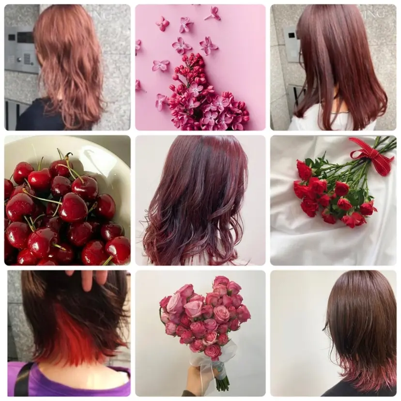 鈴木 明花の掲載