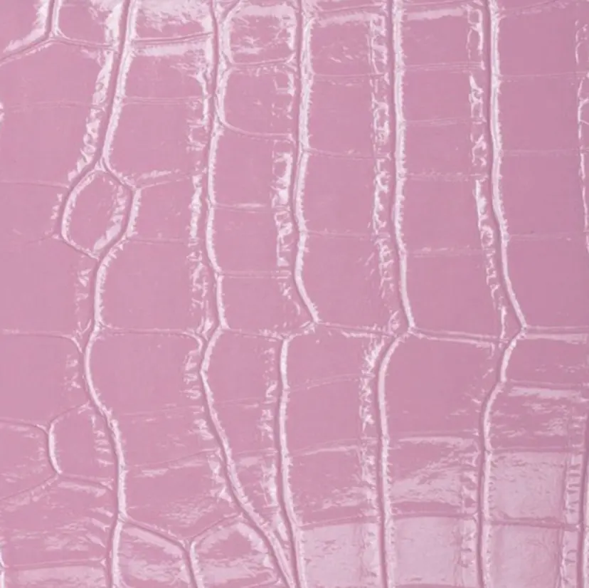 🐩🎶ルリ/ ハイトーン🍓🪩の掲載