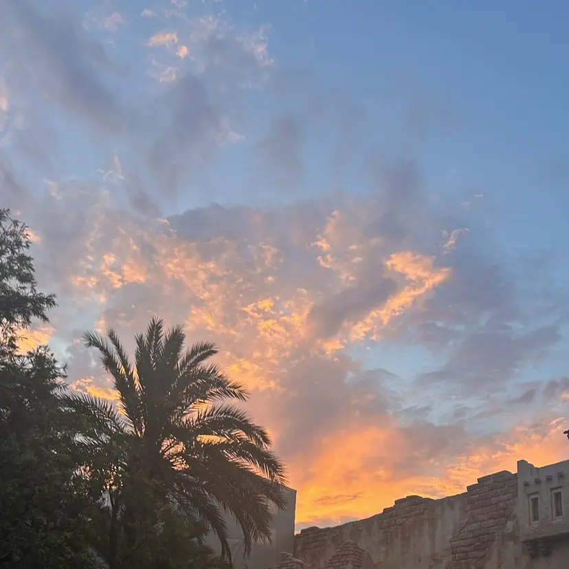 momo 【🚹 メンズモデル様募集】の掲載