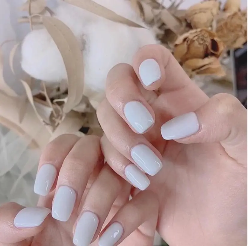 Yudia Manamiの掲載