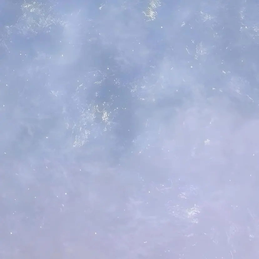 増田 枝里子の掲載