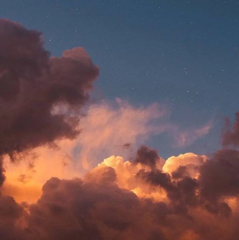 ハイトーン 🦋🎶LENの掲載