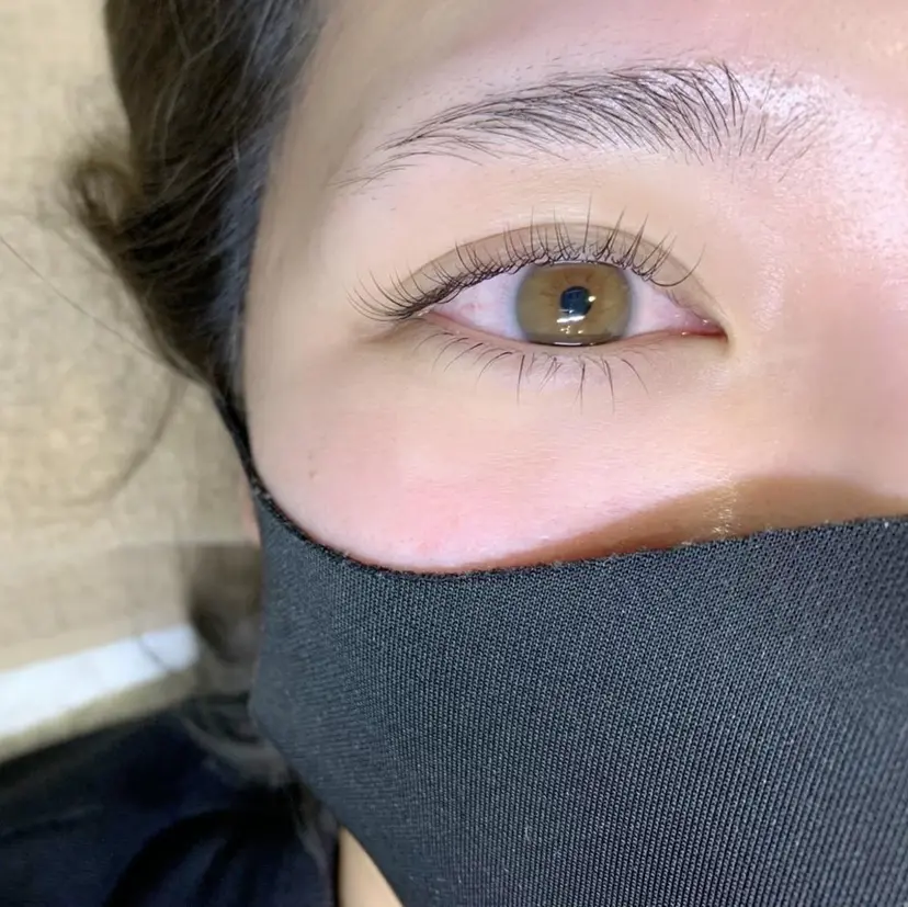 石井 美紅の掲載