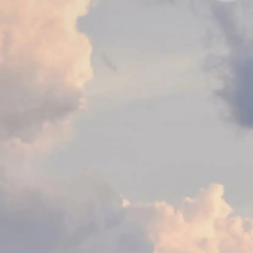 Takahashi Noa🍊の掲載