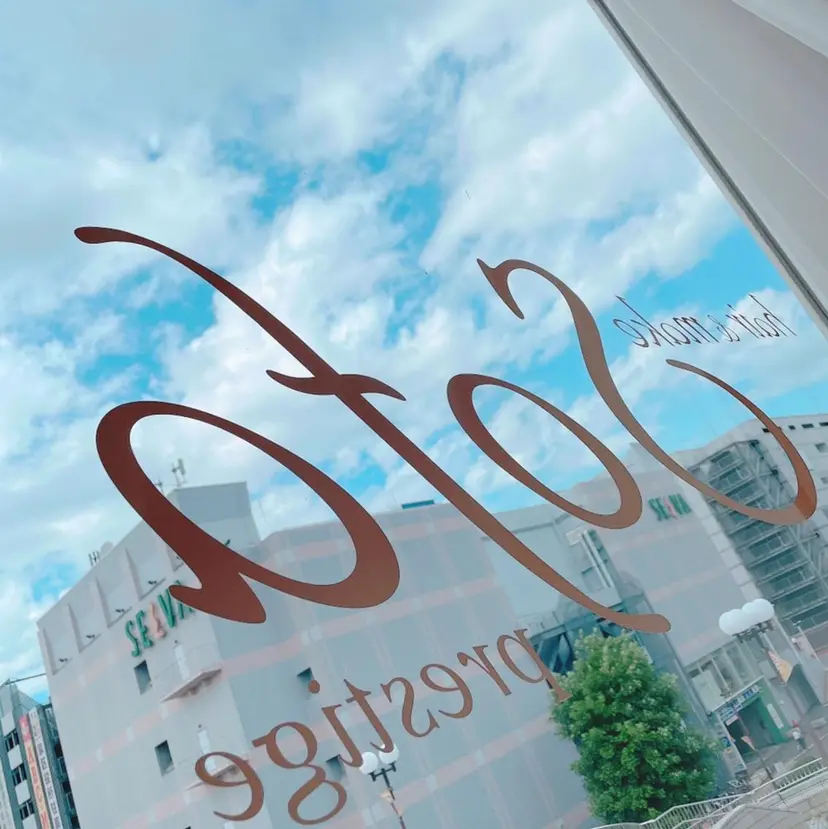 髙橋 敦子の掲載