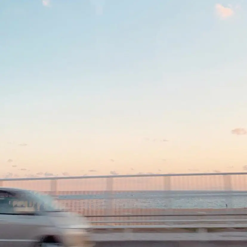 signpost 田村の掲載