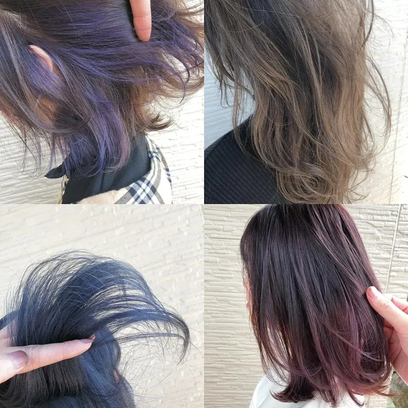 金井 直樹の掲載