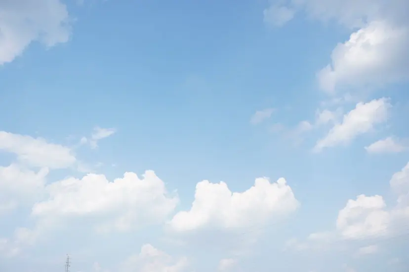 TRU ＊R I S A＊の掲載