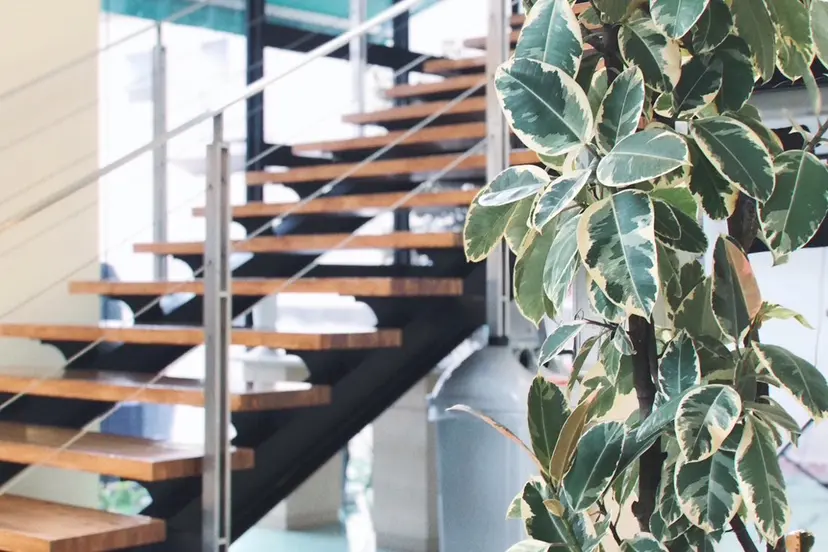 rua.／ W color⛓🖤の掲載